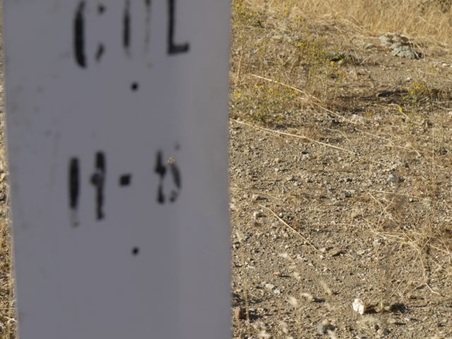 Enlarge photo 156
