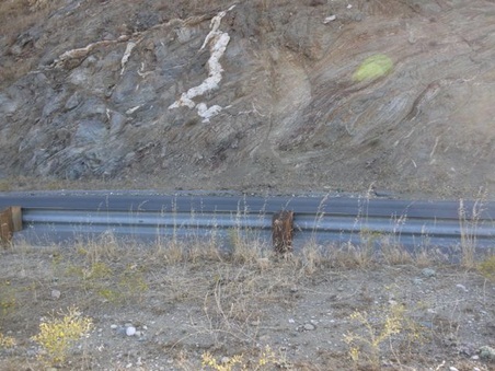 Enlarge photo 162