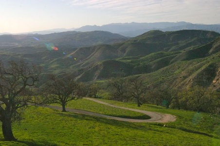 Enlarge photo 21