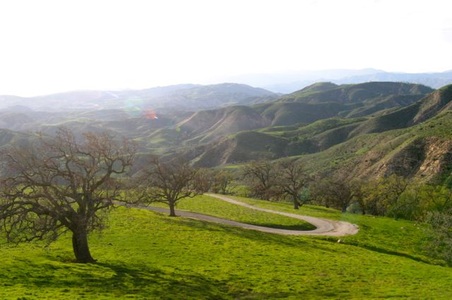Enlarge photo 22