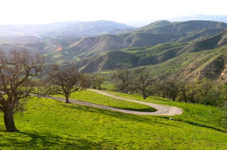 Enlarge photo 23