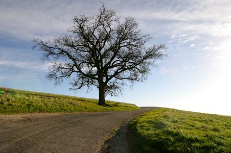 Enlarge photo 35