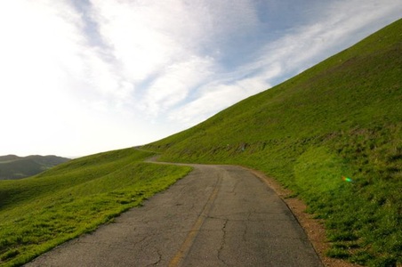 Enlarge photo 41