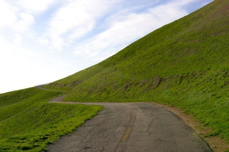 Enlarge photo 42