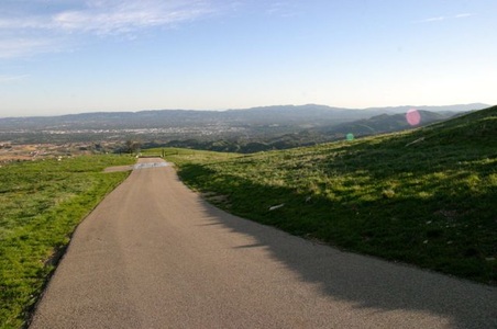 Enlarge photo 49