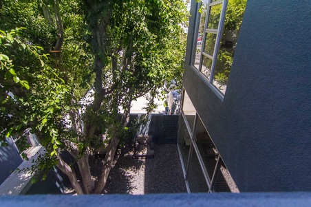 Enlarge photo 58