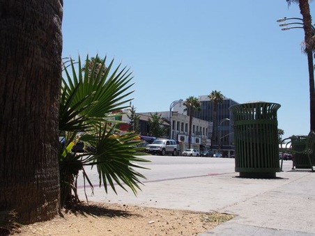Enlarge photo 42