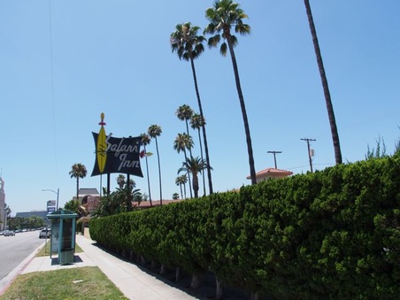 Safari Inn
