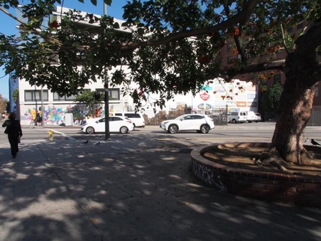 Enlarge photo 23