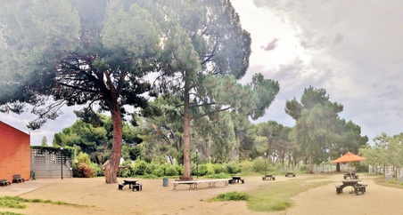 Enlarge photo 160