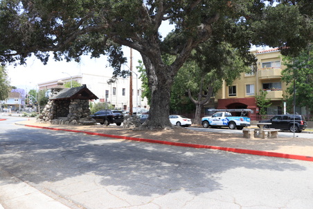 Enlarge photo 9