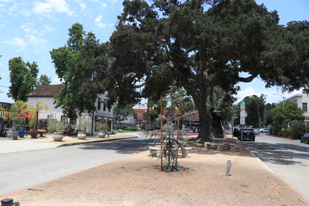Enlarge photo 16