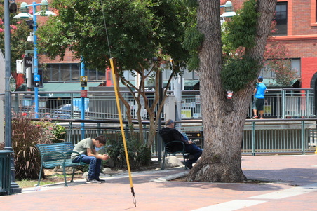 Enlarge photo 20