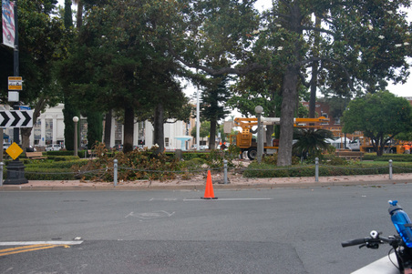 Enlarge photo 15