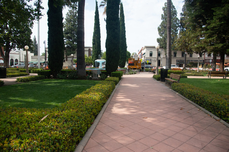 Enlarge photo 38