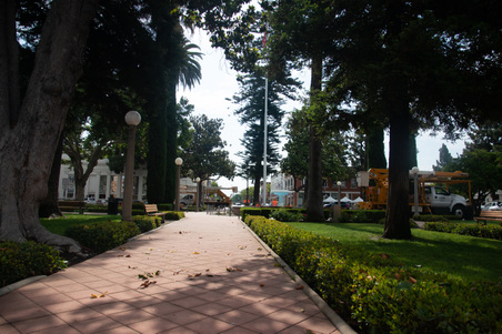 Enlarge photo 40