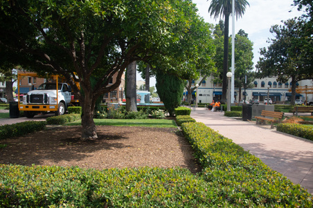 Enlarge photo 43