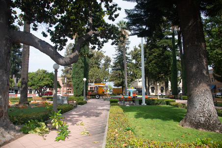 Enlarge photo 47
