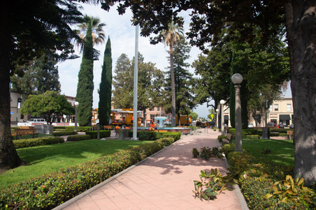 Enlarge photo 49