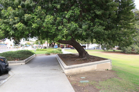 Enlarge photo 2