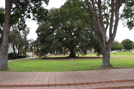 Enlarge photo 20