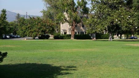 Enlarge photo 26