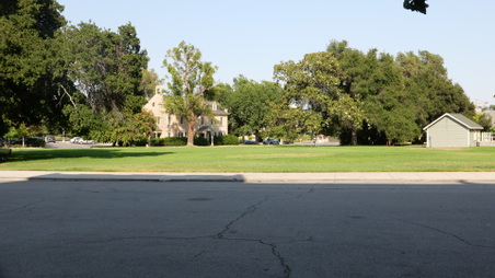 Enlarge photo 41