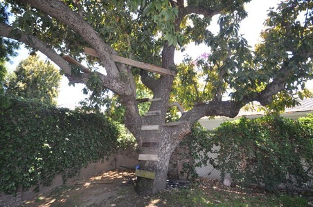 Enlarge photo 19