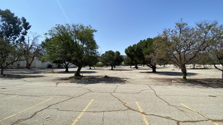 Enlarge photo 6