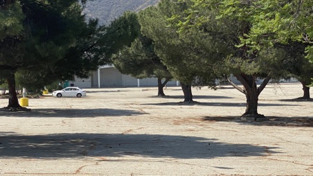 Enlarge photo 15