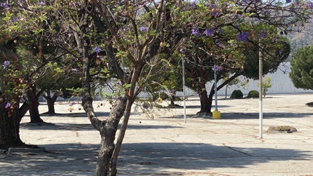 Enlarge photo 17