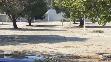 Enlarge photo 18