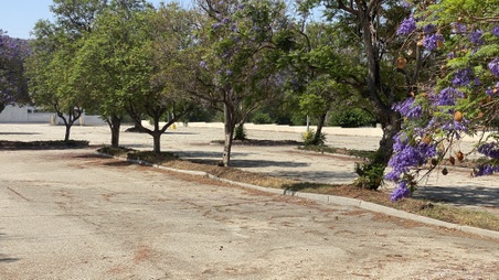 Enlarge photo 23