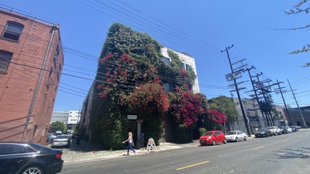 Enlarge photo 2