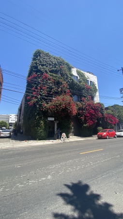 Enlarge photo 4