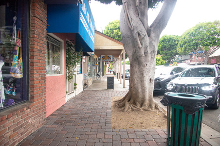Enlarge photo 51