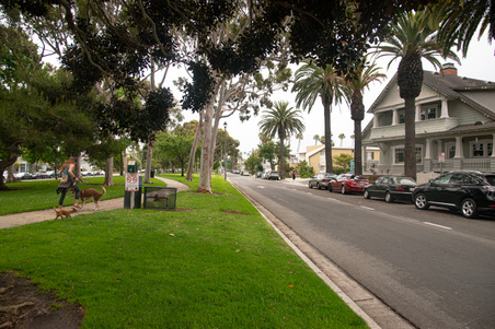Enlarge photo 81