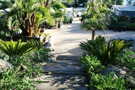 Enlarge photo 119