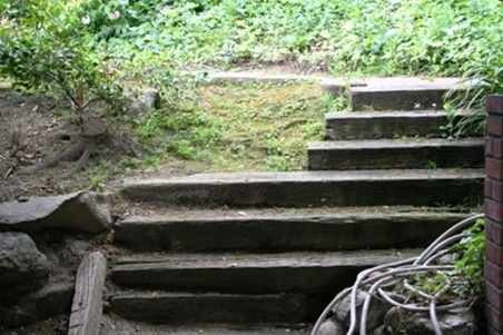 Enlarge photo 24
