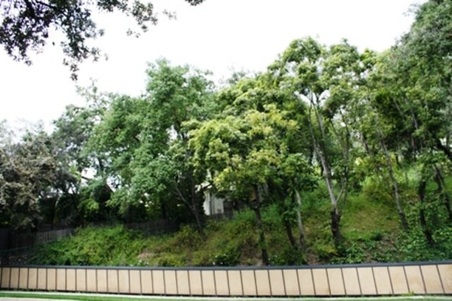Enlarge photo 73