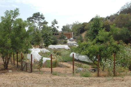 Enlarge photo 23