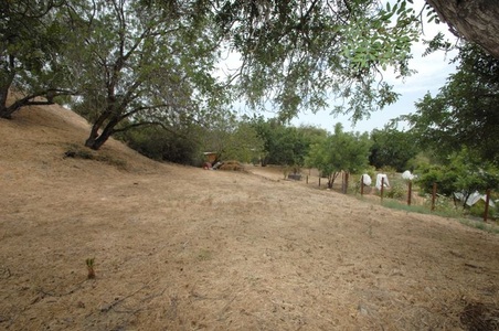 Enlarge photo 25