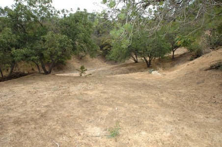 Enlarge photo 26