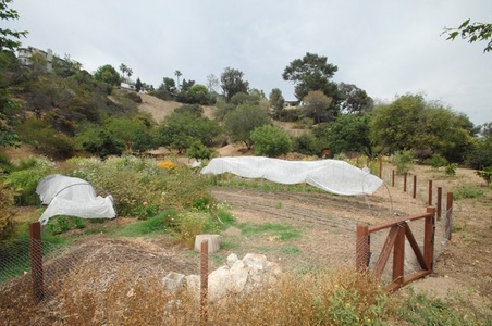 Enlarge photo 27