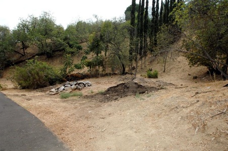 Enlarge photo 28