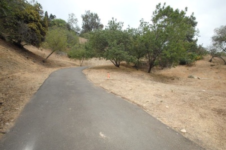 Enlarge photo 74
