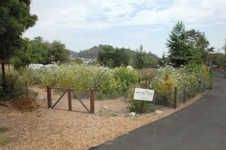 Enlarge photo 77