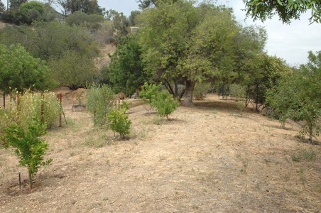 Enlarge photo 143