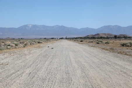 Enlarge photo 32