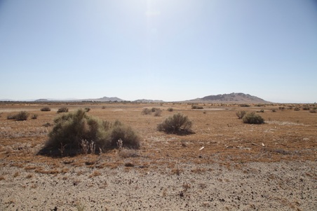 Enlarge photo 34